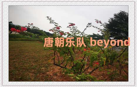 唐朝乐队 beyond